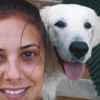 Un regalo de NaviDOG para toda la vida, ¿puedes echarle …