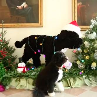 Llegó la Navidad a la Casa Blanca, nos lo cuenta …