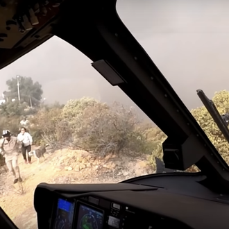 Captan el arriesgado rescate de varias personas y sus perros …
