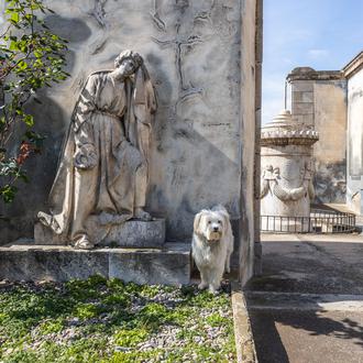 Barcelona tendrá un cementerio de animales de compañía y servicio …