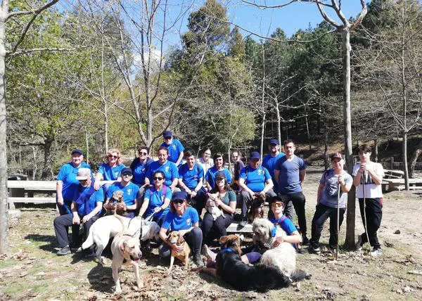 Los socios de PontePatas, sus perros y perros en adopción emprenden el Camino de Santiago más canino