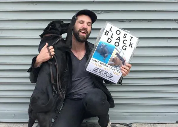 Shadow, la aplicación que ayuda a localizar a miles de perros perdidos al año