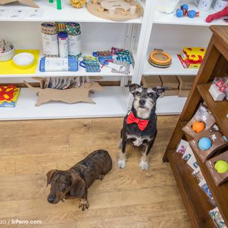SrPerro y BarkiVet en FIERA: el piscolabis canino con efectos …