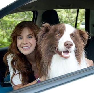 Perros y coches, ese gran binomio publicitario, ahora en versión …