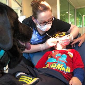 Perros de asistencia ayudan a niños con autismo cuando toca …