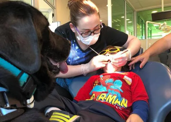 Perros de asistencia ayudan a niños con autismo cuando toca visitar al dentista
