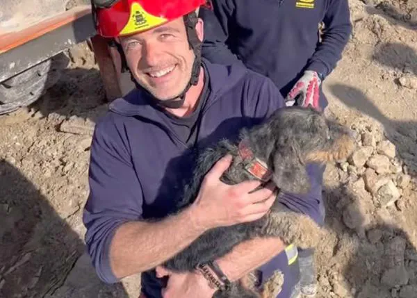 Los bomberos tardan casi seis horas en rescatar a una teckel que se había metido en una madriguera en Valdemoro