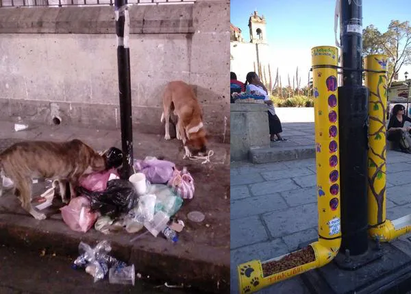 Una iniciativa solidaria 