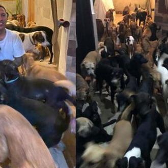 Un hombre acoge en su hogar a 300 animales para …