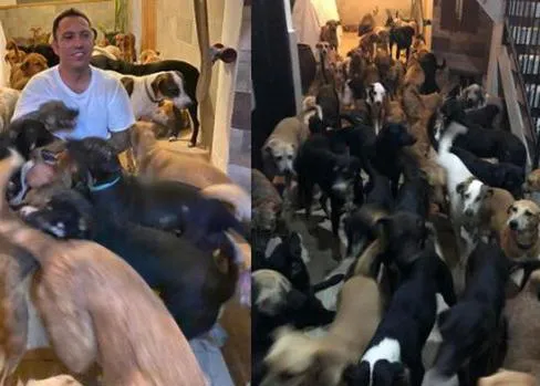Un hombre acoge en su hogar a 300 animales para mantenerlos a salvo ante la llegada del Huracán Delta
