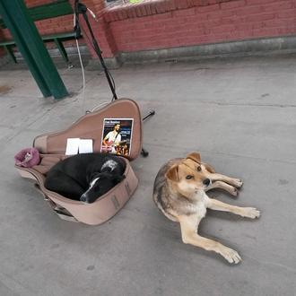 Un músico callejero se está haciendo famoso por su amabilidad …