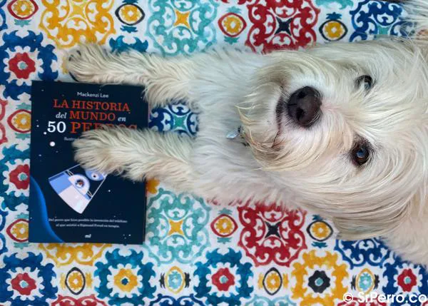 Perros con mucha historia y arte: un libro sobre los 50 canes que cambiaron, a su manera, el destino del mundo