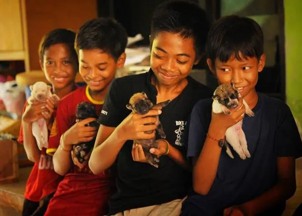 Los perros de Bali: el reto de cambiar el futuro de una raza única y el increíble trabajo de BAWA