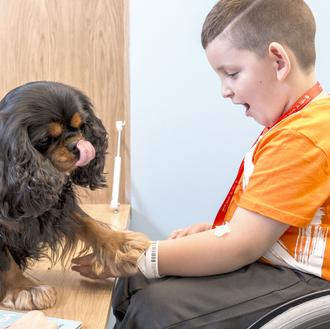 Beneficios e innovaciones en las Intervenciones Asistidas con Animales en …