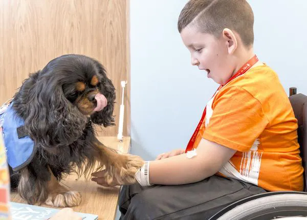 Beneficios e innovaciones en las Intervenciones Asistidas con Animales en el Hospital Sant Joan de Déu
