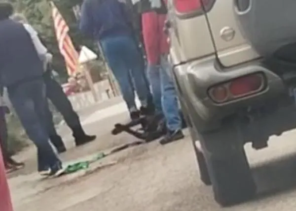 FAADA, PACMA y más entidades se movilizan ante el salvaje caso de maltrato de un perro asfixiado en Barcelona