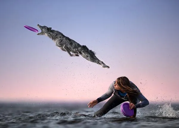 ¿Te gusta retratar perros? Un concurso internacional de fotografía canina ofrece 2000 € en premios