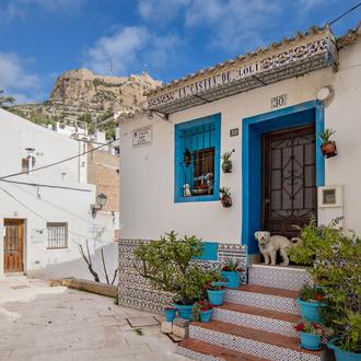 Alicante con perro: canes urbanos, perros en la playa y …