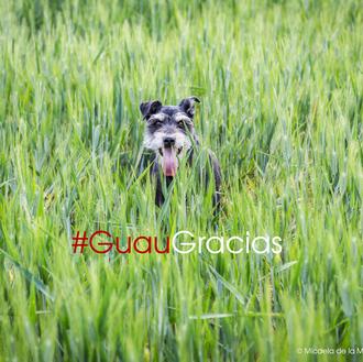 Gracias por... #GuauGracias