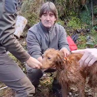 Bomberos y Guardas Forestales de Gipuzkoa logran rescatar a Fox …