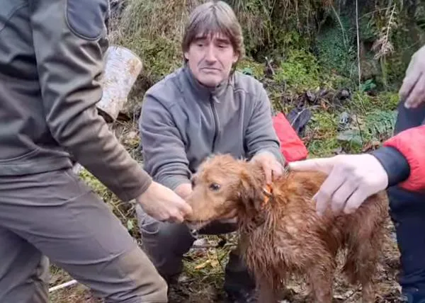 Bomberos y Guardas Forestales de Gipuzkoa logran rescatar a Fox, un perro que llevaba 10 días perdido en el macizo de Peñas de Aia