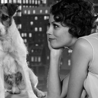 Las 10 películas caninas más taquilleras de la historia... Uggie …