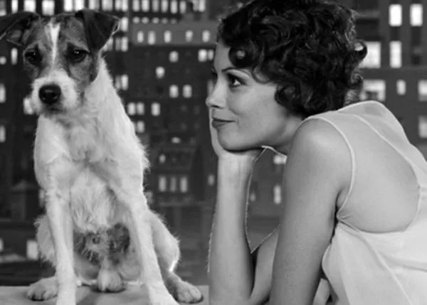 Las 10 películas caninas más taquilleras de la historia... Uggie, ¡te echamos de menos!