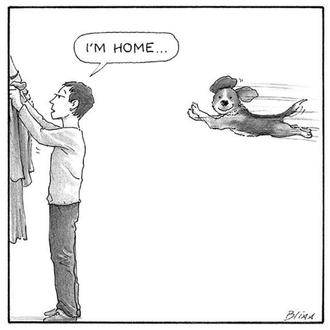 Los geniales perros de Harry Bliss: ilustraciones con mucho humor …