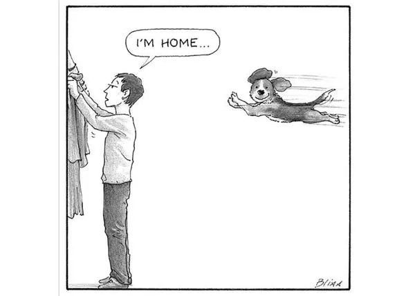 Los geniales perros de Harry Bliss: ilustraciones con mucho humor y arte (y mucho, mucho amor perruno)