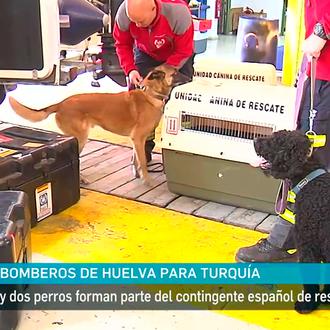 Equipos de rescate con perros parten desde España y otros …