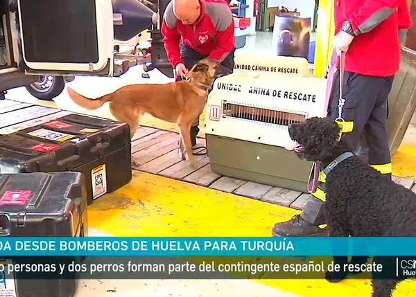 Equipos de rescate con perros parten desde España y otros países de la UE hacia Turquía y Siria para ayudar tras el devastador terremoto