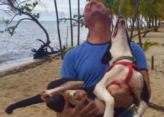 Un perro es rescatado en medio del Mar Caribe por un grupo de turistas y ¡es adoptado!
