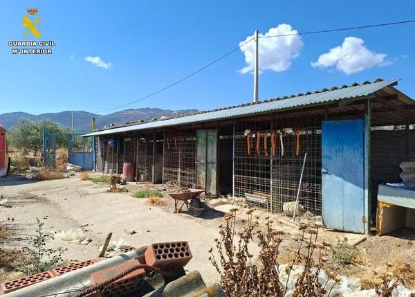Sin comida ni agua: 14 perros de una rehala de caza mueren en sus cheniles e investigan si 15 más sufrieron la misma (atroz) muerte
