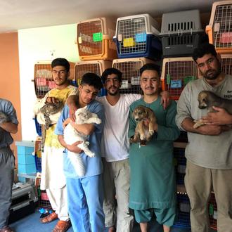 También los perros intentan salir de Afganistán: una pequeña protectora …