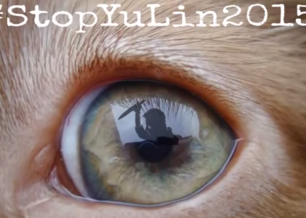 #StopYulin2015, el mundo se moviliza contra el atroz festival de la carne de perro