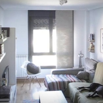 ¿Qué hace un galgo cuando se queda solo en casa …