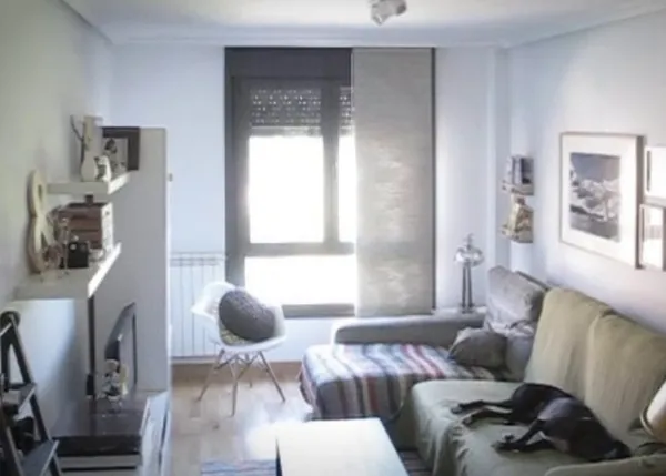 ¿Qué hace un galgo cuando se queda solo en casa? Una clase magistral en sofaing