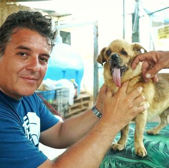 Nueva polémica en torno a Let's Adopt España: acusados …