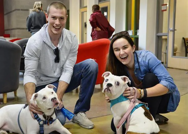Una pareja cruza EEUU para adoptar a un perro ciego, un nuevo amigo para su otro perro ciego