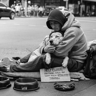 Veterinarios solidarios: una ayuda indispensable para aquellos que solo tienen …