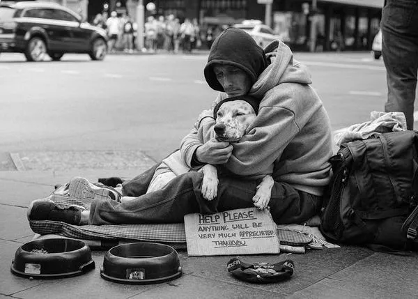 Veterinarios solidarios: una ayuda indispensable para aquellos que solo tienen a sus perros