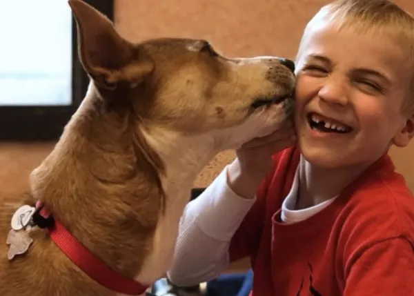 El cumpleaños feliz para el niño que ha ayudado a salvar a más de 1000 perros