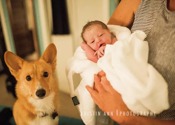 Un perro acompaña a su humana mientras da a luz en casa