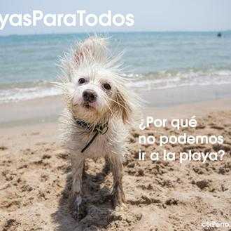 #PlayasParaTodos: concentraciones en una decena de ciudades para reivindicar el …