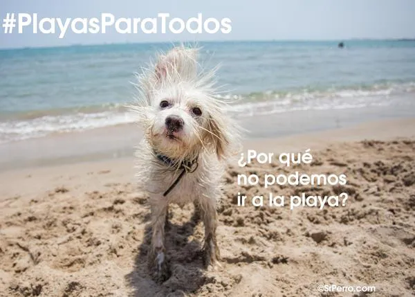 #PlayasParaTodos: concentraciones en una decena de ciudades para reivindicar el acceso de los perros a la playa