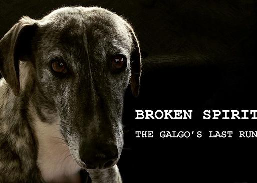 La última carrera de un galgo, un muy recomendable documental sobre la trágica realidad de estos perros