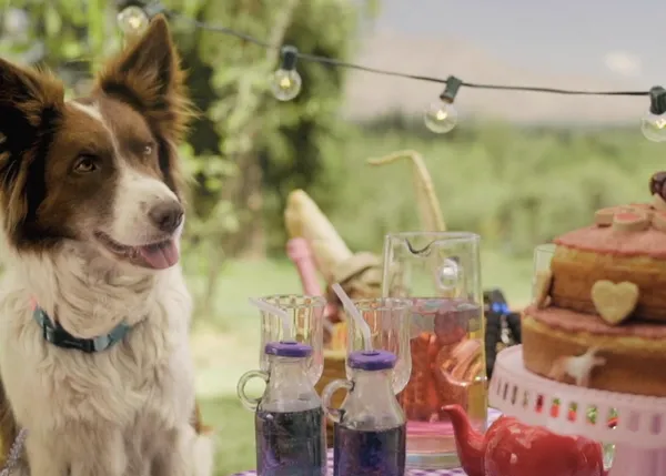 Amores humanos y amores perros en el simpático vídeo de 