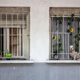 El 