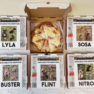Cajas de Pizza y latas de cerveza extra perrunas y …