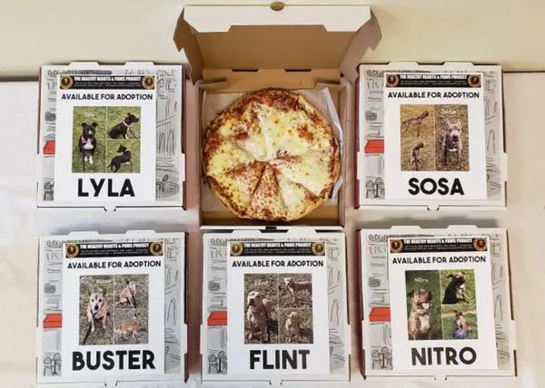 Cajas de Pizza y latas de cerveza extra perrunas y solidarias: con fotos de canes en adopción